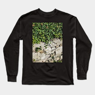 Ivy and Stone Long Sleeve T-Shirt